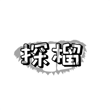 交易商标31类“第E焦点”详解