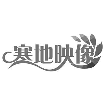 43类商标什么意思