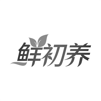 交易商标31类“盛唐时辰”详解